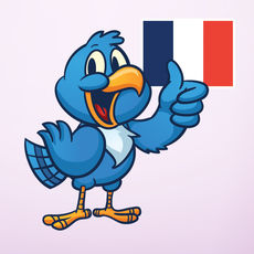 Speak French – Free Language Tutor with Native Voice and Flashcards